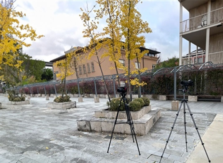 Interviste autunnali